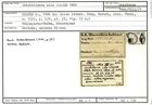 Karteikarte zum Holotyp von Cristellaria cilo Stache, 1864
